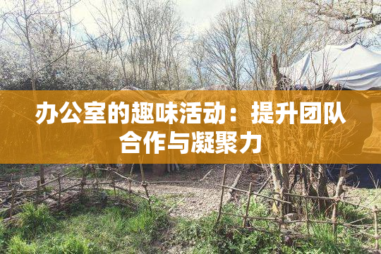 办公室的趣味活动：提升团队合作与凝聚力