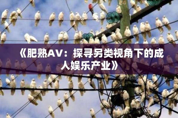 《肥熟AV：探寻另类视角下的成人娱乐产业》