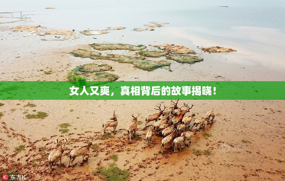 女人又爽，真相背后的故事揭晓！