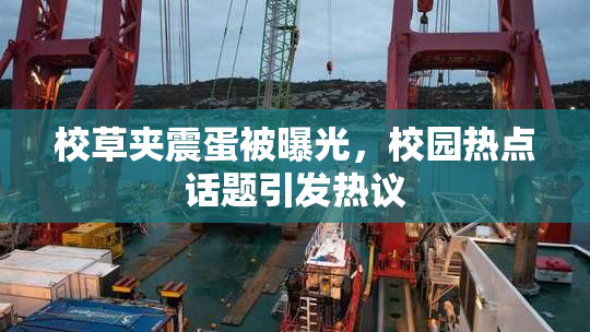 校草夹震蛋被曝光，校园热点话题引发热议