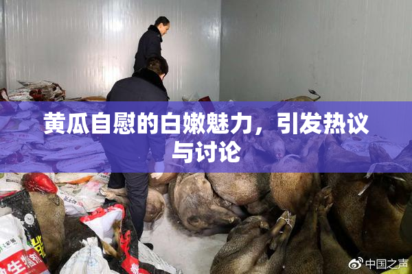 黄瓜自慰的白嫩魅力，引发热议与讨论