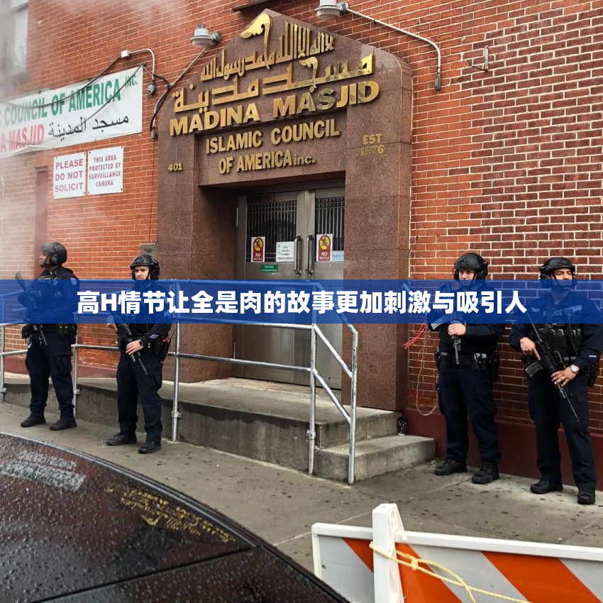 高H情节让全是肉的故事更加刺激与吸引人
