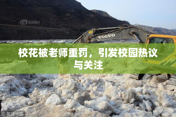 校花被老师重罚，引发校园热议与关注