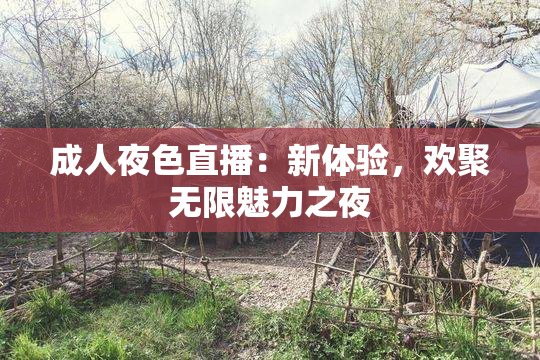 成人夜色直播：新体验，欢聚无限魅力之夜