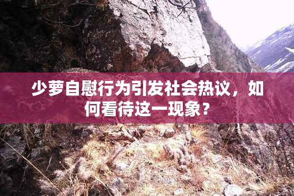 少萝自慰行为引发社会热议，如何看待这一现象？
