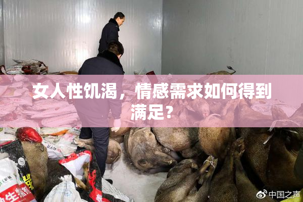 女人性饥渴，情感需求如何得到满足？