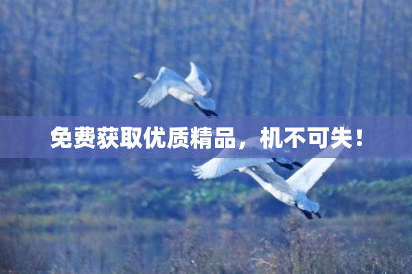 免费获取优质精品，机不可失！