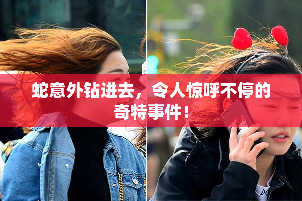 蛇意外钻进去，令人惊呼不停的奇特事件！