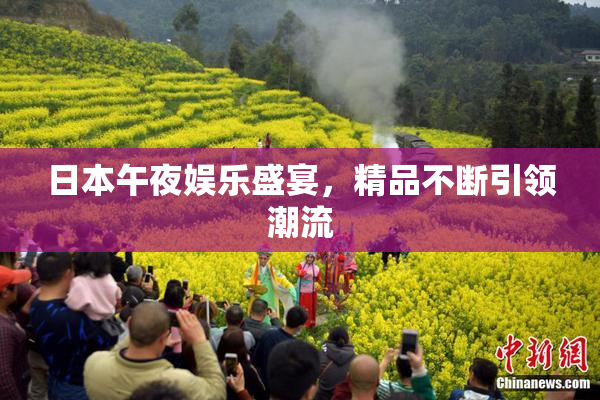 日本午夜娱乐盛宴，精品不断引领潮流