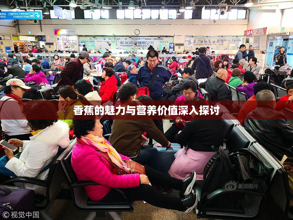 香蕉的魅力与营养价值深入探讨