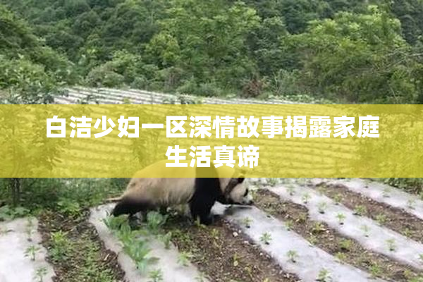 白洁少妇一区深情故事揭露家庭生活真谛