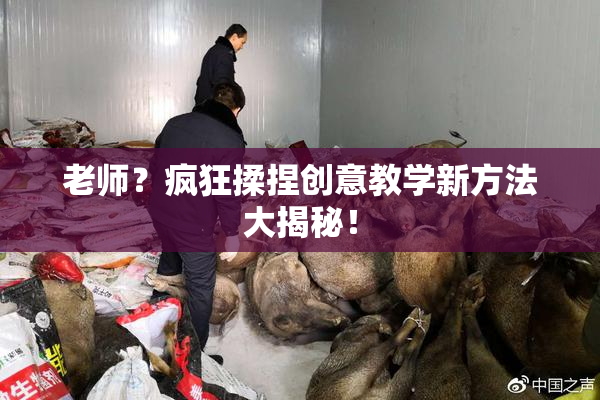 老师？疯狂揉捏创意教学新方法大揭秘！