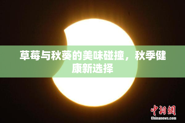 草莓与秋葵的美味碰撞，秋季健康新选择