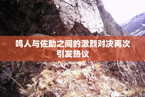 鸣人与佐助之间的激烈对决再次引发热议