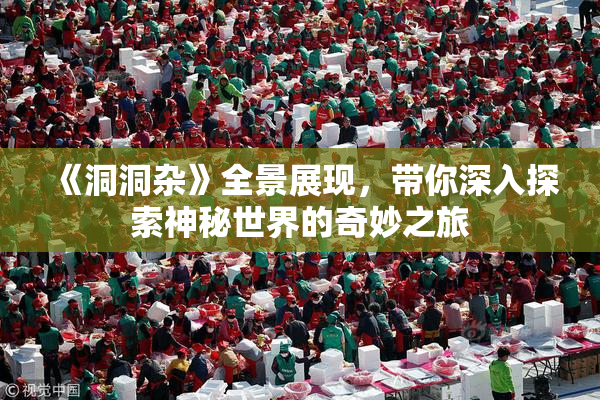《洞洞杂》全景展现，带你深入探索神秘世界的奇妙之旅