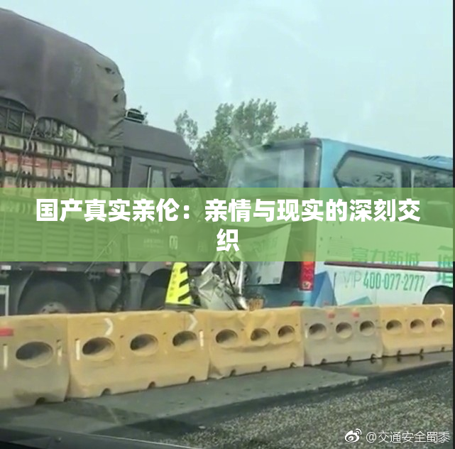 国产真实亲伦：亲情与现实的深刻交织