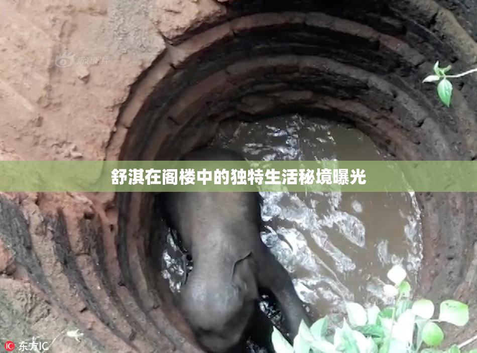 舒淇在阁楼中的独特生活秘境曝光