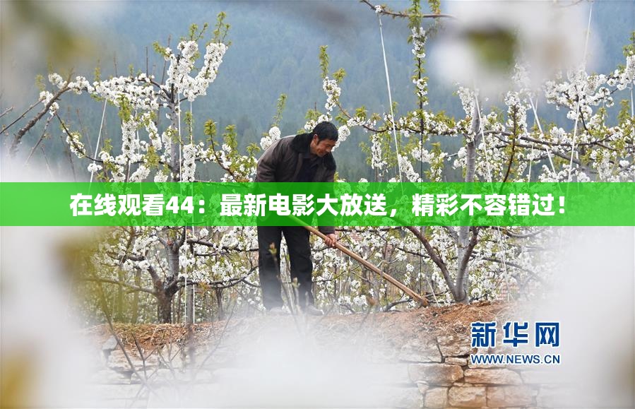 在线观看44：最新电影大放送，精彩不容错过！