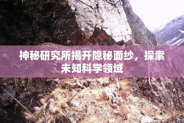 神秘研究所揭开隐秘面纱，探索未知科学领域