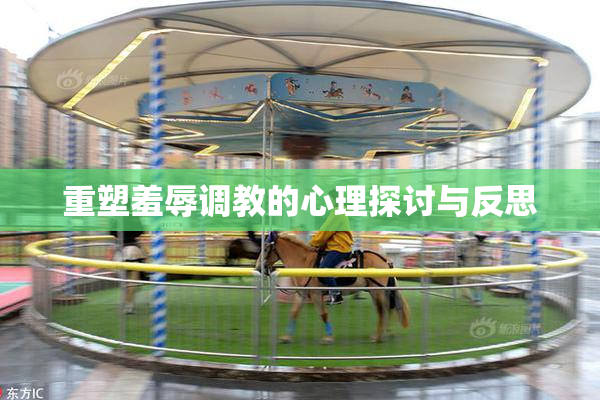 重塑羞辱调教的心理探讨与反思