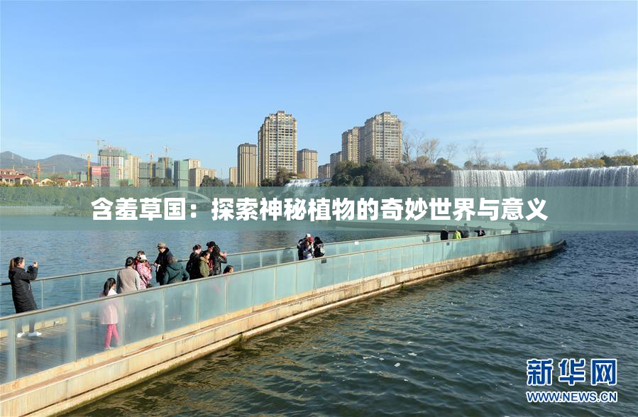 含羞草国：探索神秘植物的奇妙世界与意义