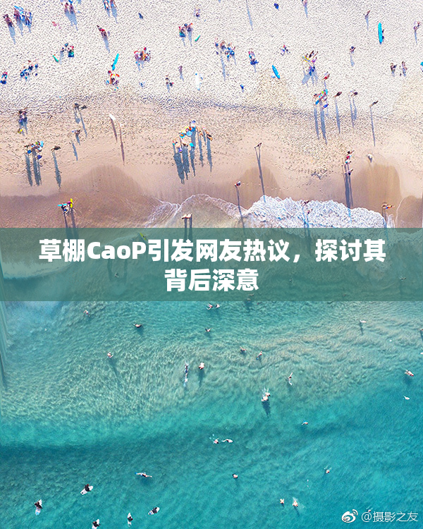 草棚CaoP引发网友热议，探讨其背后深意