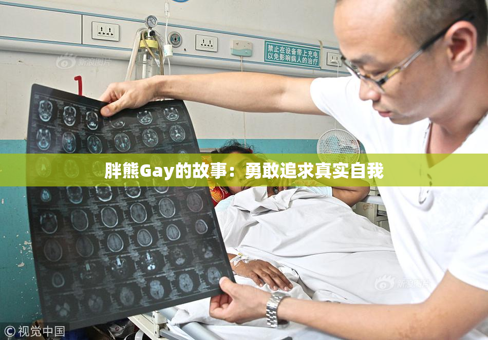 胖熊Gay的故事：勇敢追求真实自我