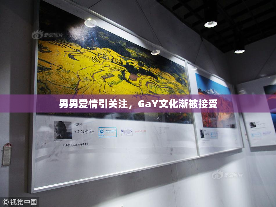 男男爱情引关注，GaY文化渐被接受