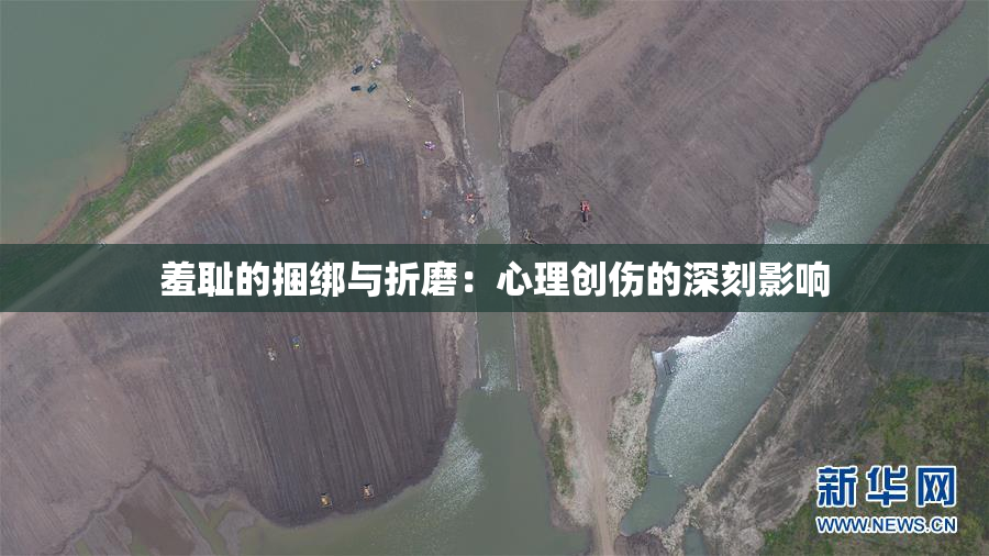 羞耻的捆绑与折磨：心理创伤的深刻影响