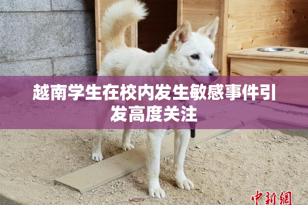越南学生在校内发生敏感事件引发高度关注