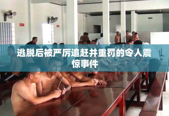 逃脱后被严厉追赶并重罚的令人震惊事件