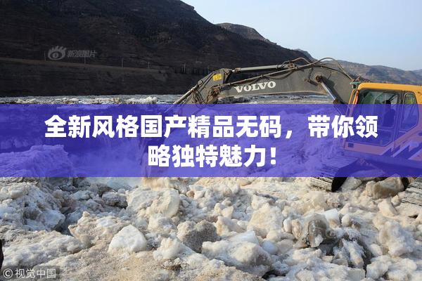 全新风格国产精品无码，带你领略独特魅力！