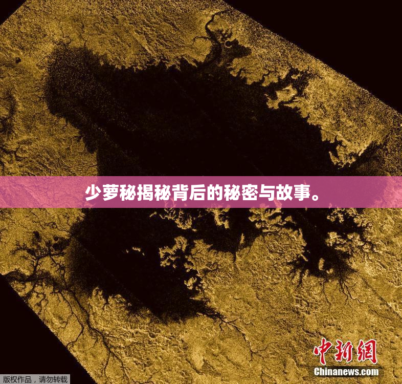 少萝秘揭秘背后的秘密与故事。