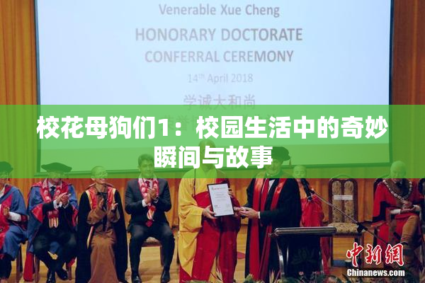 校花母狗们1：校园生活中的奇妙瞬间与故事
