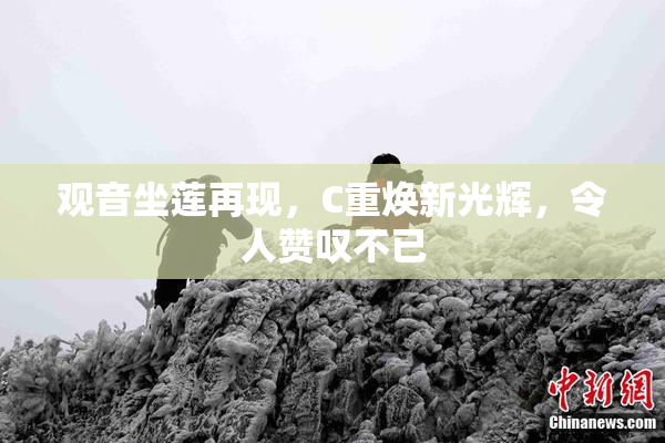 观音坐莲再现，C重焕新光辉，令人赞叹不已