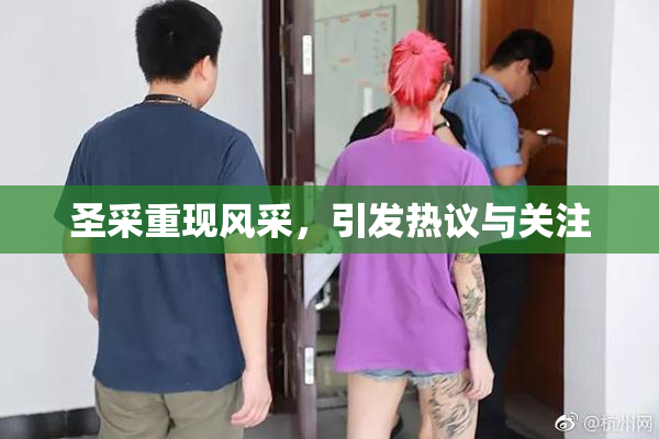 圣采重现风采，引发热议与关注