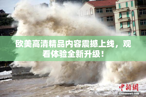 欧美高清精品内容震撼上线，观看体验全新升级！