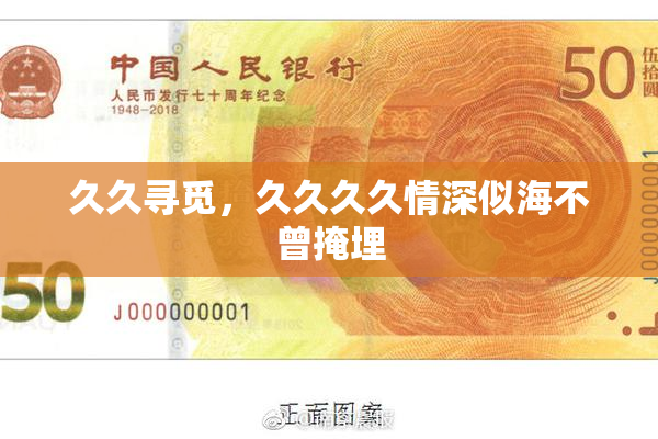 久久寻觅，久久久久情深似海不曾掩埋