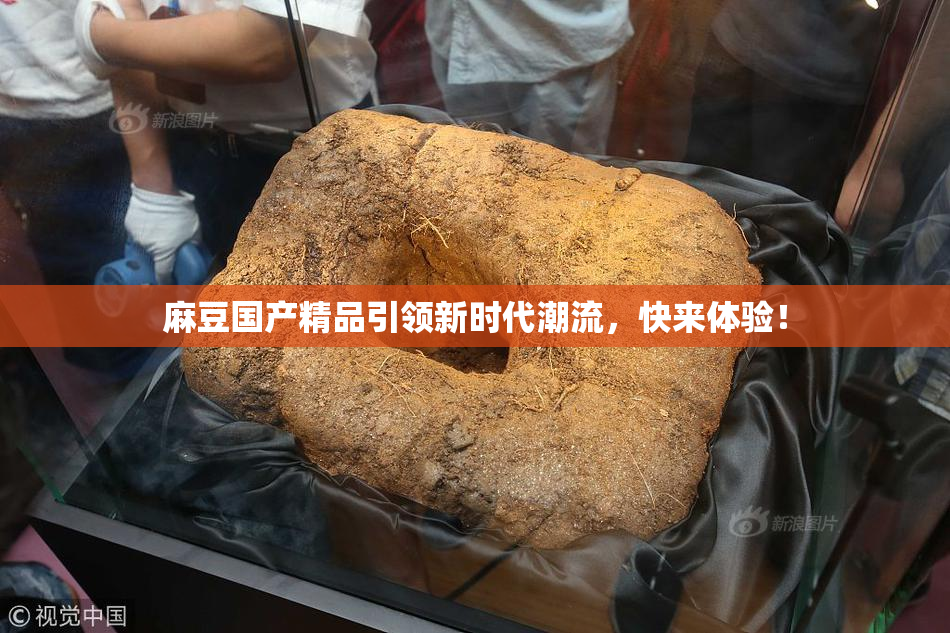 麻豆国产精品引领新时代潮流，快来体验！