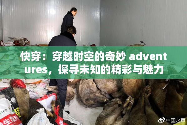 快穿：穿越时空的奇妙 adventures，探寻未知的精彩与魅力