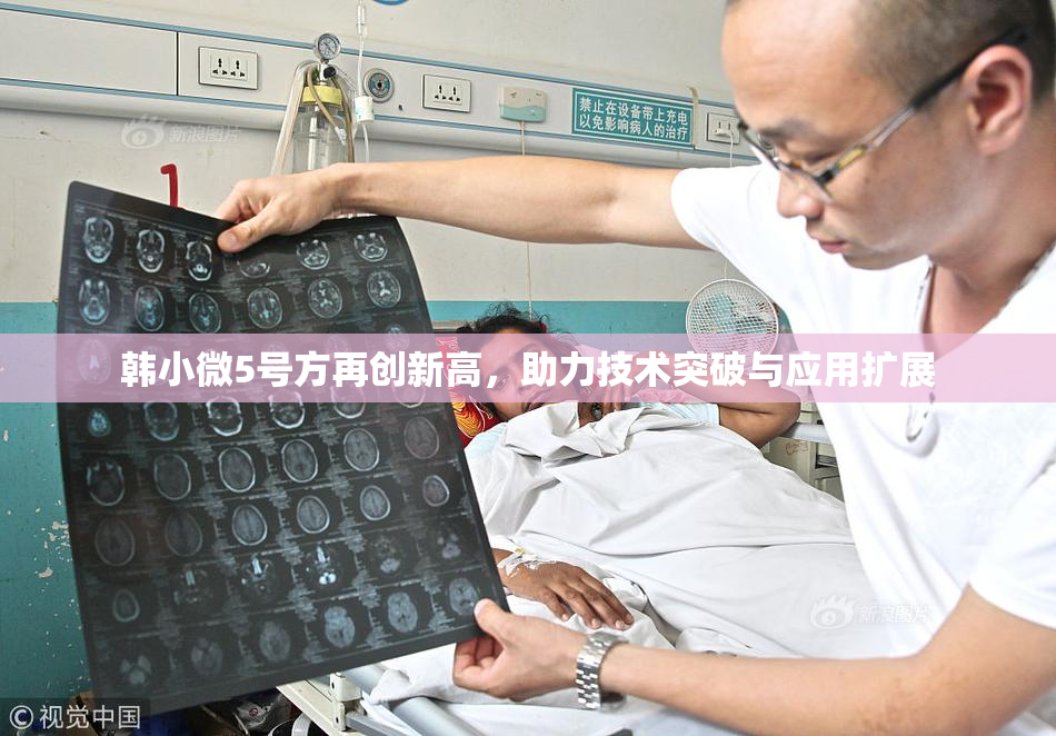韩小微5号方再创新高，助力技术突破与应用扩展