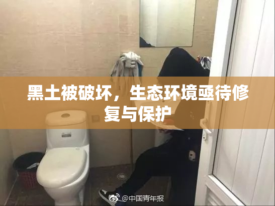 黑土被破坏，生态环境亟待修复与保护
