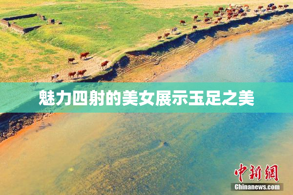 魅力四射的美女展示玉足之美