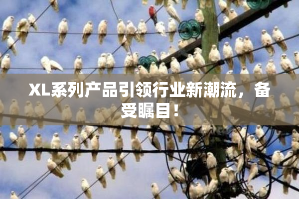XL系列产品引领行业新潮流，备受瞩目！