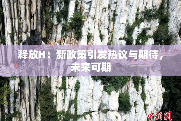 释放H：新政策引发热议与期待，未来可期
