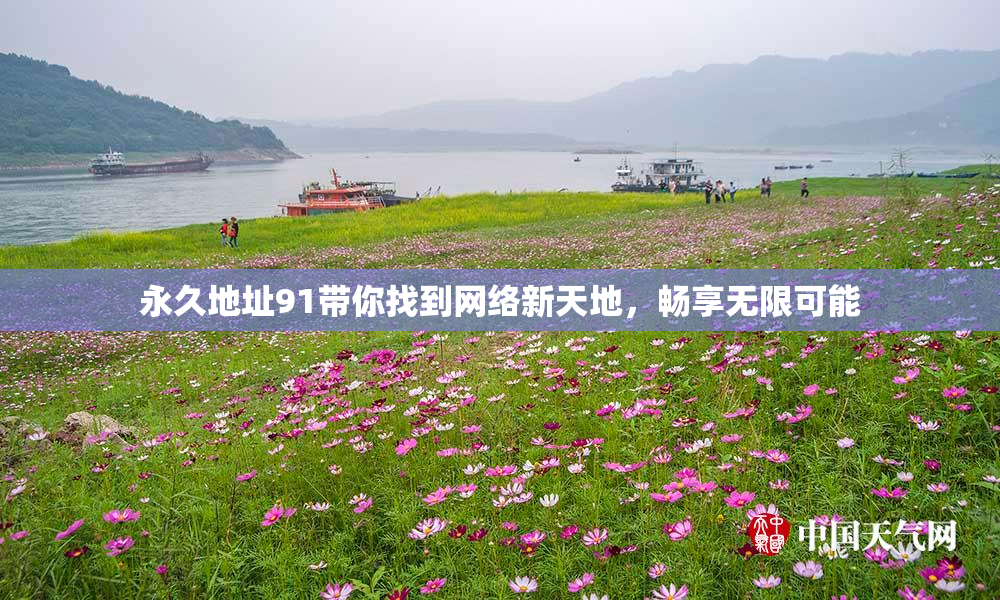 永久地址91带你找到网络新天地，畅享无限可能