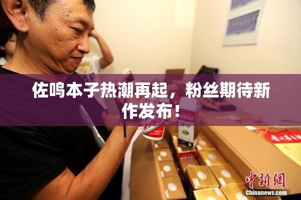 佐鸣本子热潮再起，粉丝期待新作发布！