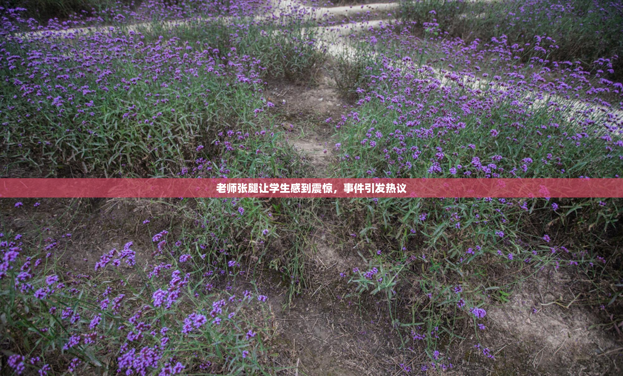 老师张腿让学生感到震惊，事件引发热议