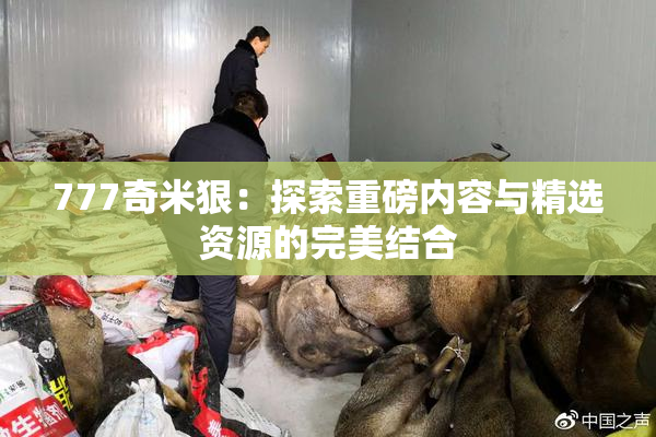 777奇米狠：探索重磅内容与精选资源的完美结合