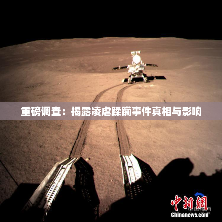 重磅调查：揭露凌虐蹂躏事件真相与影响